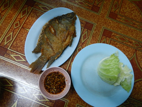 a0002177_16561493.jpg