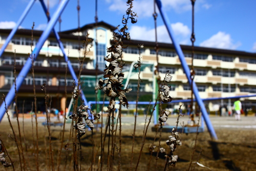 d0056777_0134076.jpg