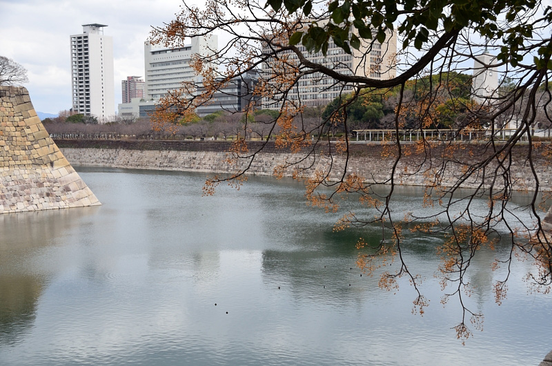 f0108478_17303198.jpg