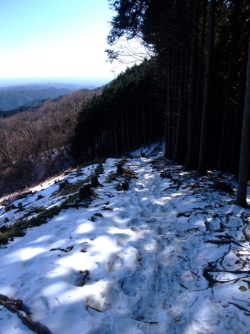 a0043982_1914998.jpg