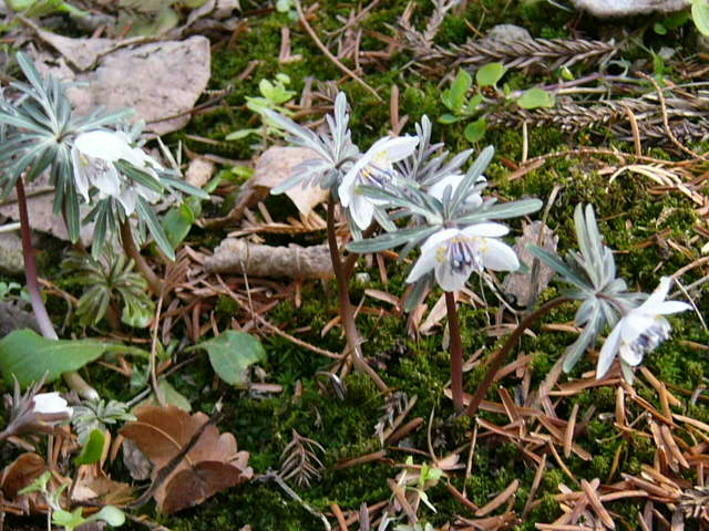 e0145782_102057.jpg