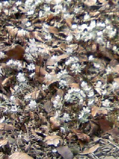 b0120586_16362214.jpg