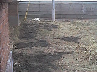 f0151099_17534331.jpg
