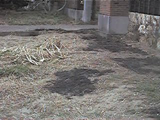f0151099_17535968.jpg