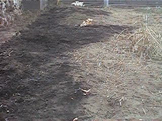 f0151099_17541069.jpg
