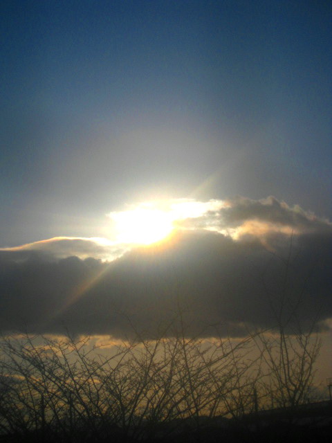 f0236201_831323.jpg