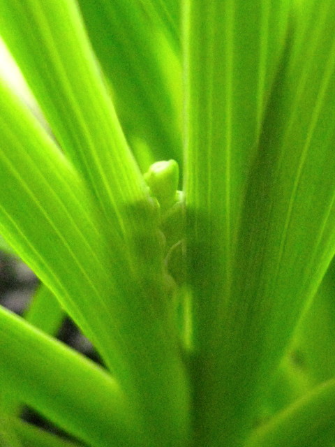 f0236201_842384.jpg