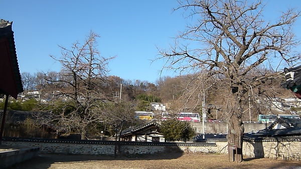 a0140305_0243877.jpg