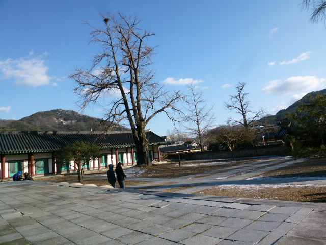 a0140305_1173346.jpg