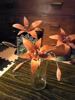 c0060308_16463214.jpg