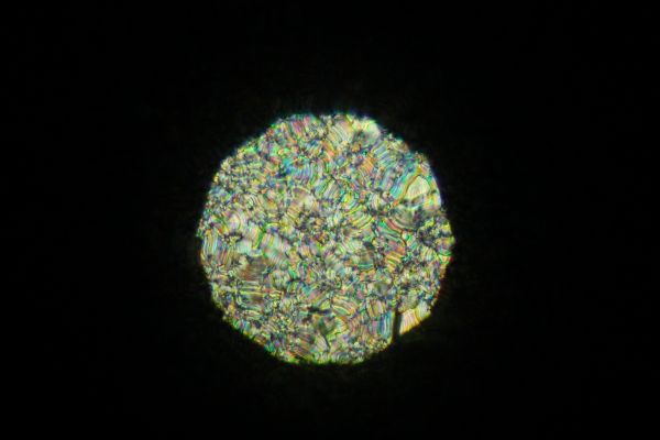c0164709_2111261.jpg