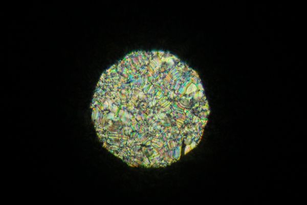 c0164709_2112918.jpg