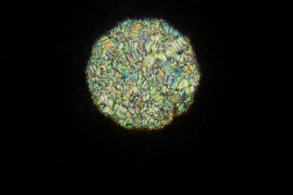 c0164709_2115750.jpg