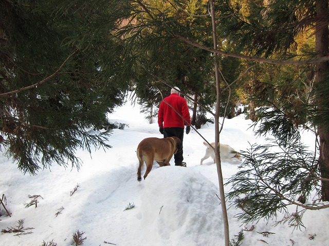 e0192217_20331961.jpg