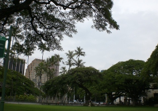 a0242019_7135868.jpg