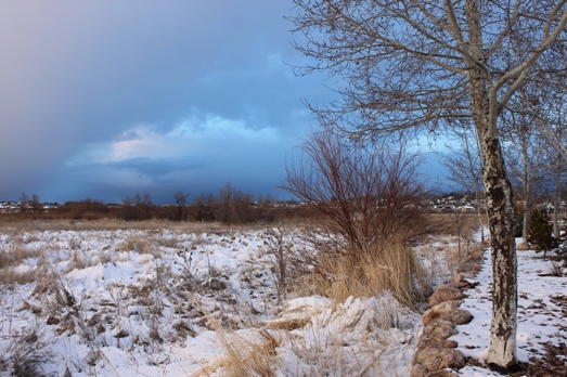 f0151222_10133198.jpg