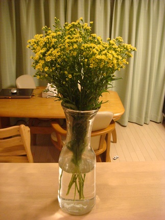f0042726_6592825.jpg