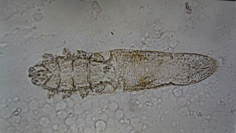 f0222527_21554918.jpg