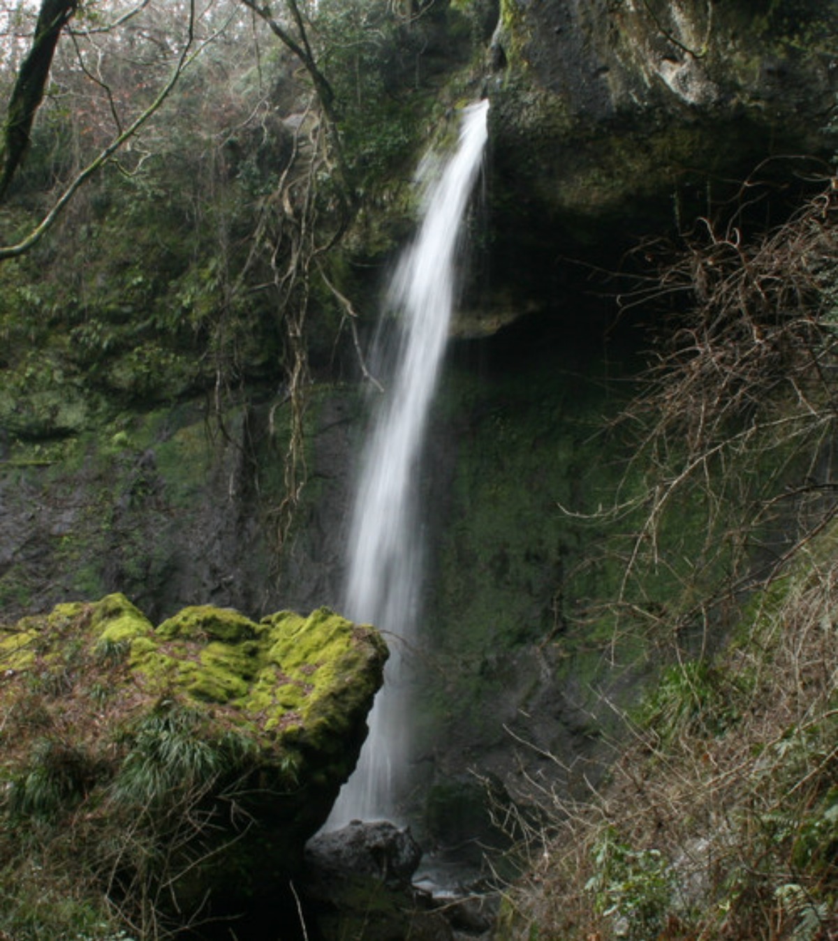 e0033229_2374710.jpg