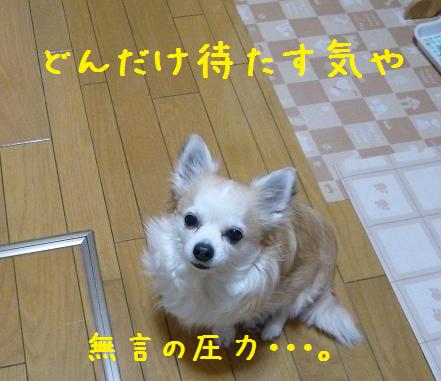 b0138430_11243154.jpg
