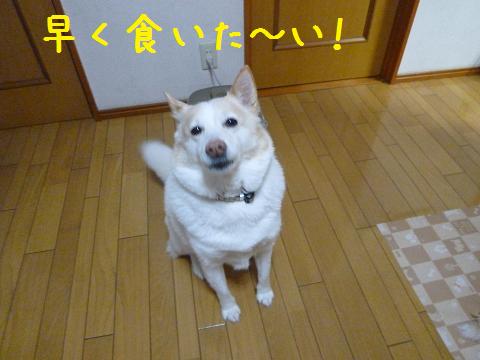 b0138430_1124452.jpg