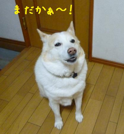 b0138430_1124485.jpg