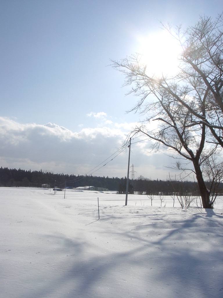 d0007735_11493943.jpg