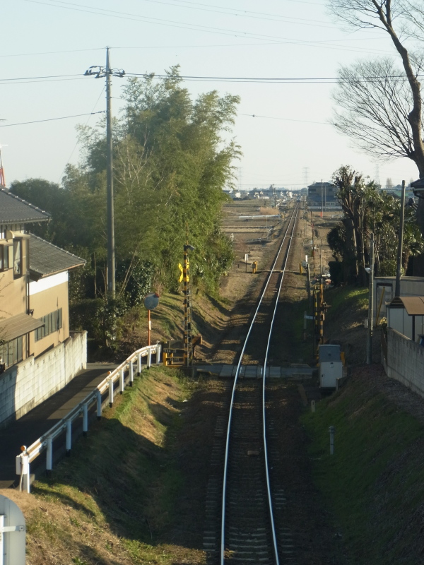 b0190242_14274049.jpg