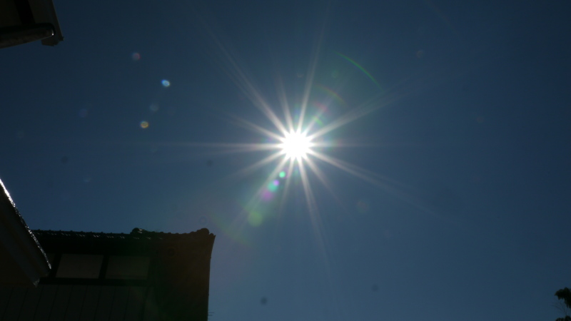 b0190242_14342569.jpg