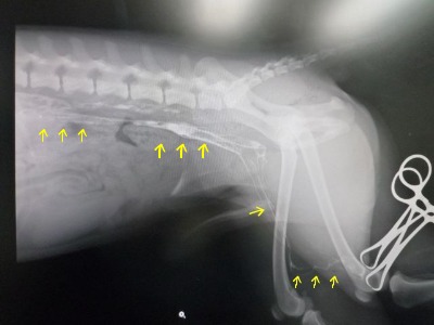 f0177261_2331362.jpg