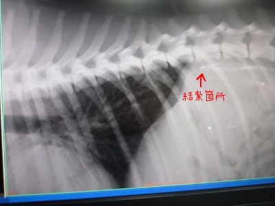 f0177261_2334544.jpg