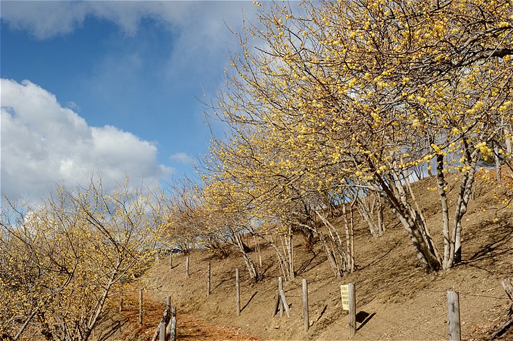 f0222161_10534251.jpg
