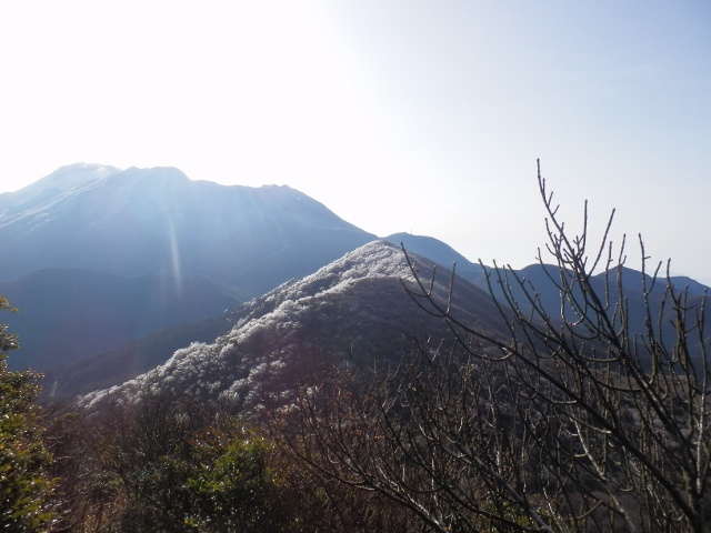 c0042869_1948172.jpg
