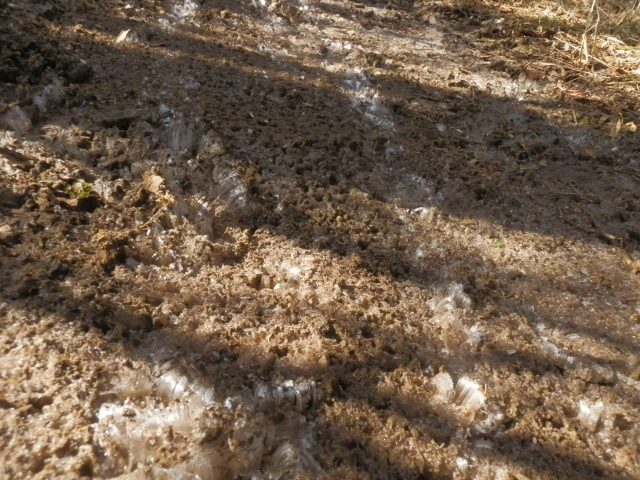 c0042869_20113445.jpg