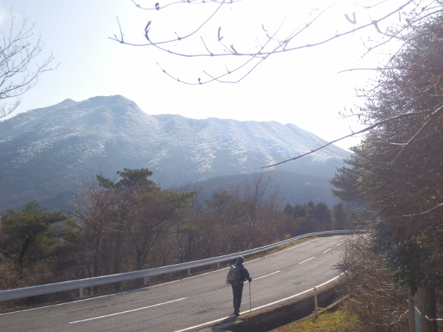 c0042869_2052179.jpg