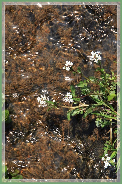 c0167576_16533891.jpg