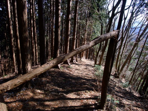 a0043982_16162149.jpg