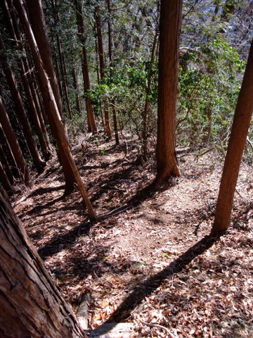 a0043982_1616637.jpg