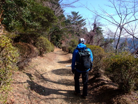 a0043982_16355419.jpg