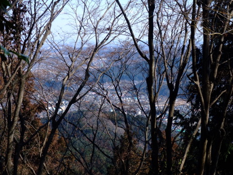 a0043982_1636247.jpg