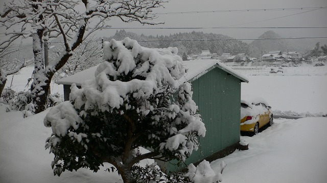 b0042882_854346.jpg
