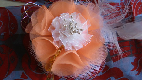 a0234185_12122994.jpg