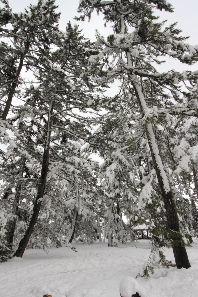 e0051888_5463091.jpg
