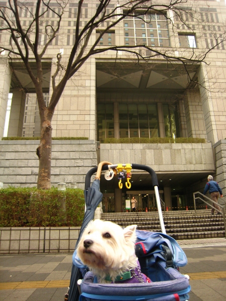e0110888_0472965.jpg