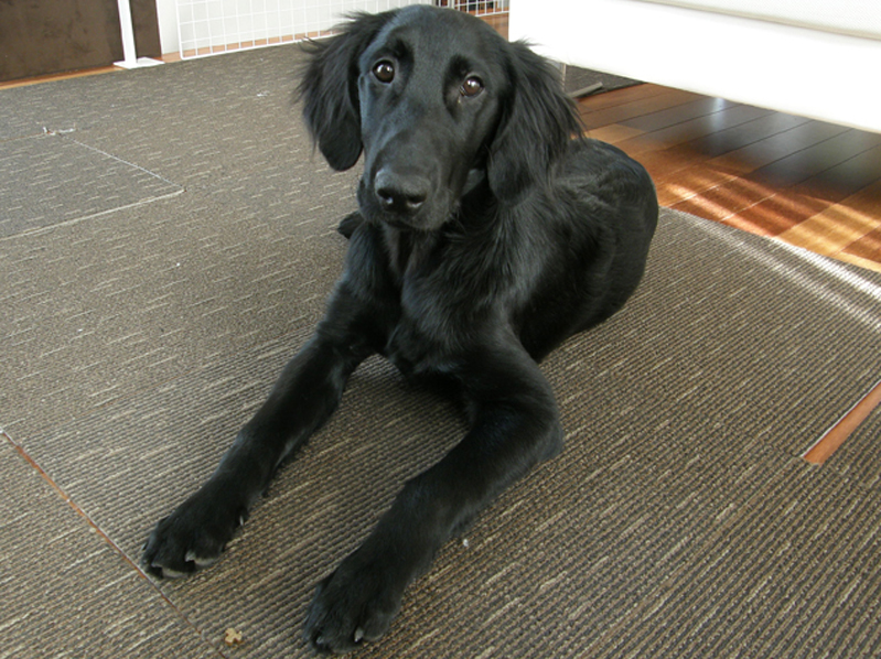c0238292_2131444.jpg