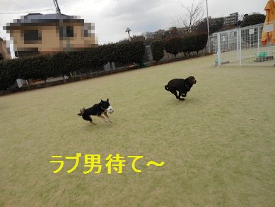 a0137294_1936557.jpg