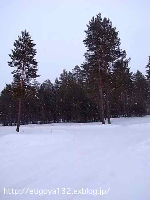 e0250594_1155516.jpg