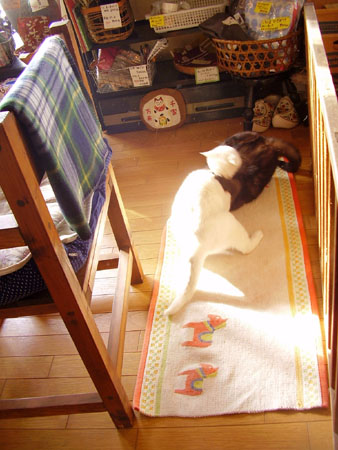c0206596_15505242.jpg