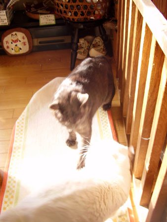 c0206596_15581640.jpg