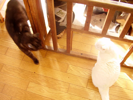 c0206596_1601581.jpg